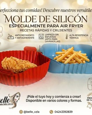 Molde de Silicon Para Air Fryer